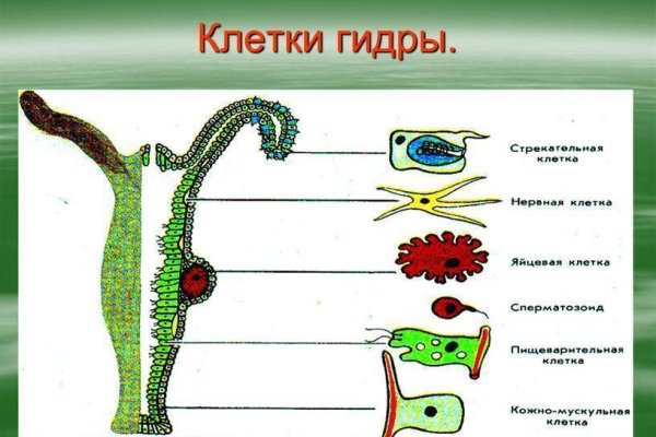 Кракен сайт работает