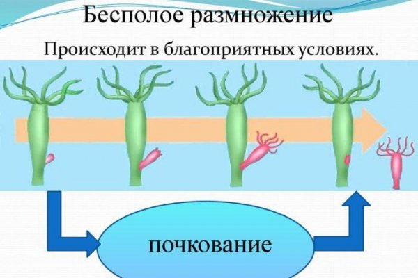 Вывести деньги с кракена